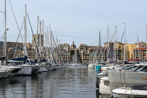 Vétérinaire de garde Marseille